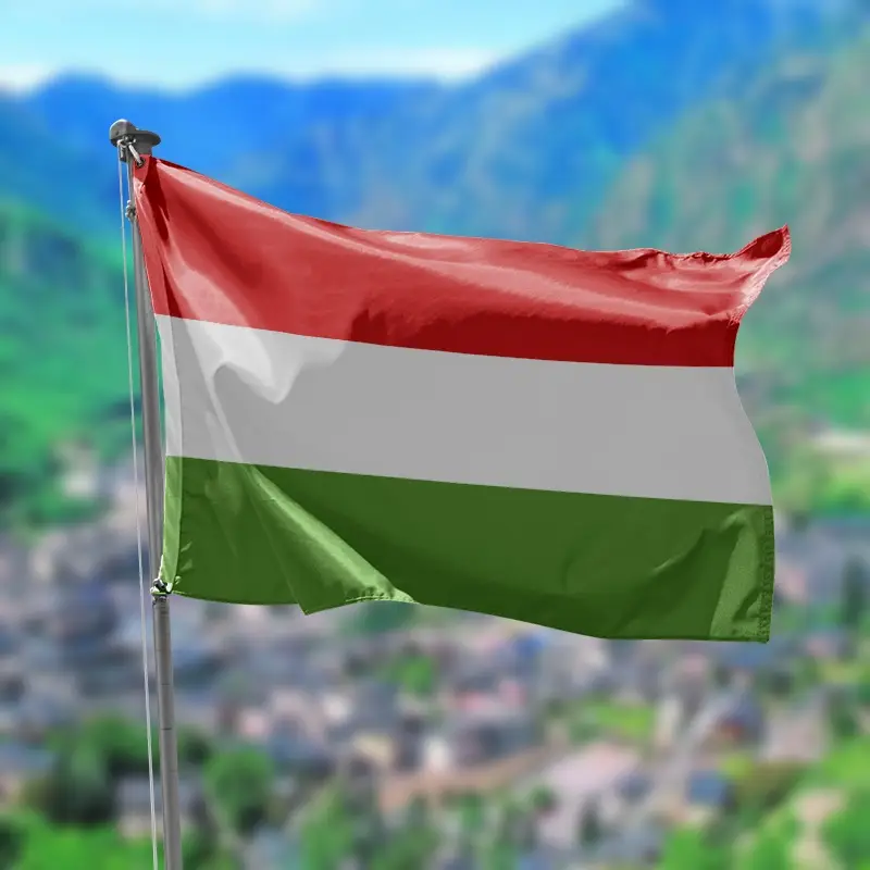 Ready made company in hungary